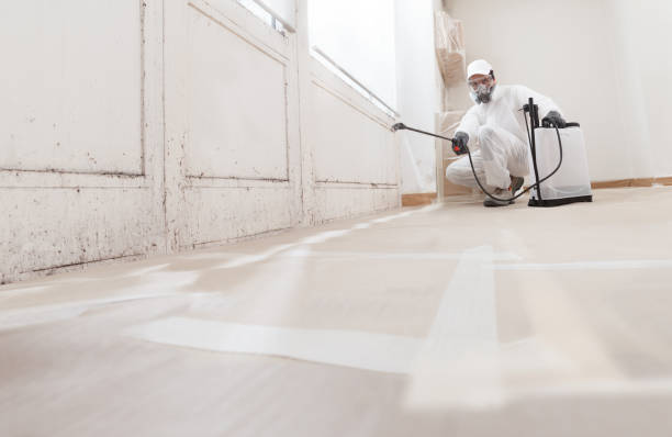 24/7 Emergency Mold Remediation experts in Bartlett, TX